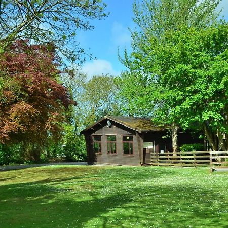 37 Trevithick Court, Tolroy Manor Villa Hayle Exterior photo